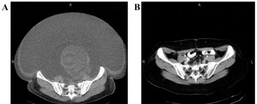 1680240131314864.jpg 15.jpg