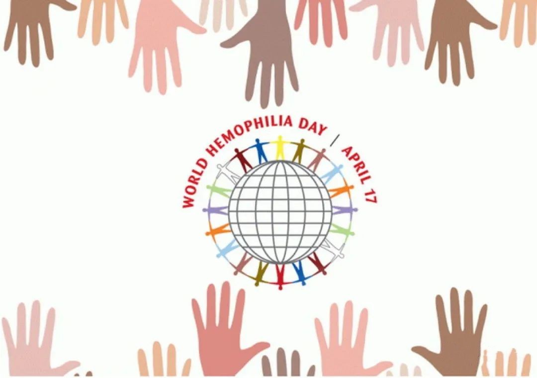 1681712899111818.jpg 417_副本.jpg