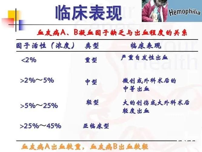 1681713211308957.jpg 418_副本.jpg