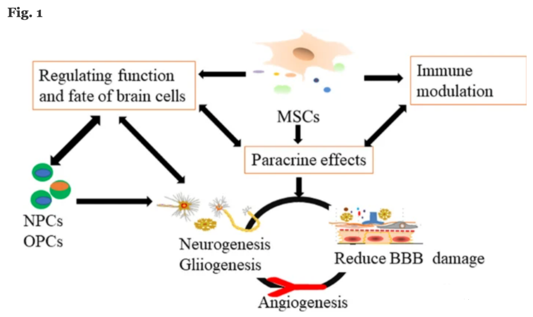 1693451715172710.png 333.png